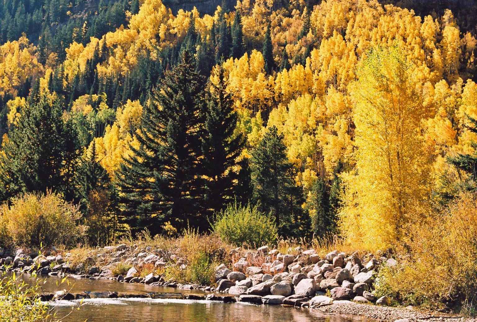 Vail Racquet Club Mountain Resort Zewnętrze zdjęcie